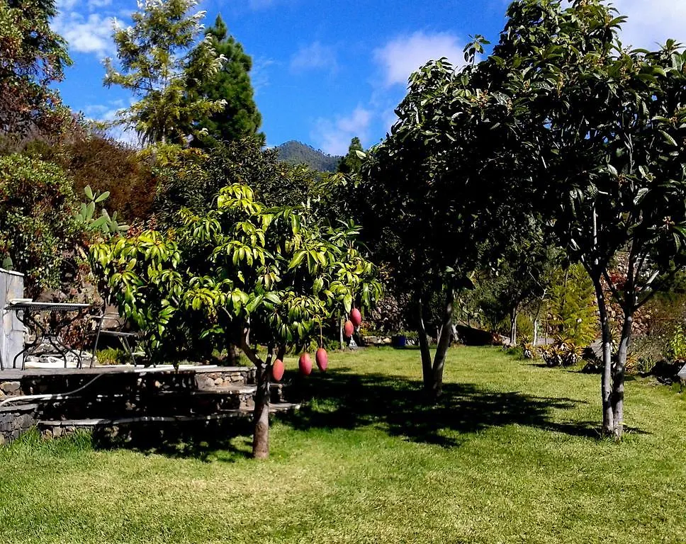 Ferienhaus Ferienvilla Finca Tijarafe mit beheiztem Pool